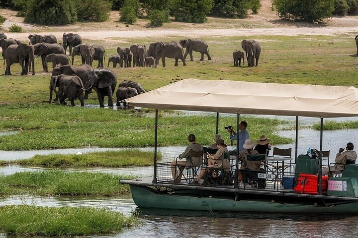Chobe Day Trip Safari from Livingstone