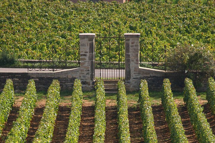 From Beaune: Full day the most of Burgundy, with lunch
