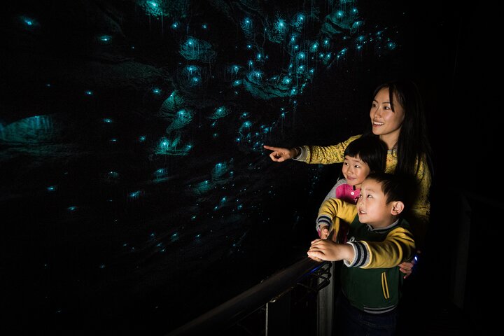 Auckland to Waitomo Glowworms, Kiwi House & Blue Springs Day Tour