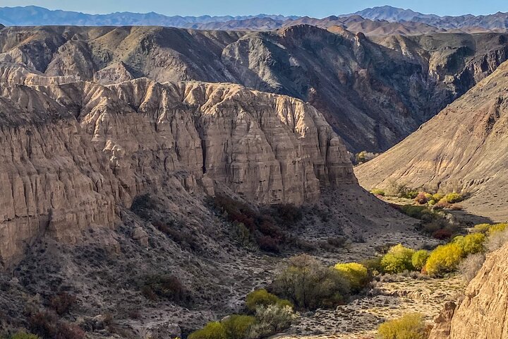 Kolsai, Kaindy lakes & Charyn canyon with Yurt stay and Campfire