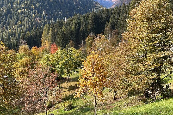 From Verona area: Private day trip to the Dolomites