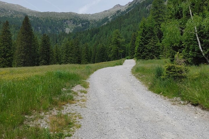 From Verona area: Private day trip to the Dolomites