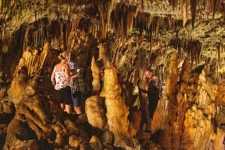 Discover the Highlights of Kefalonia Full-Day Tour