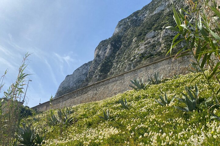 3 Hours Historical Tunnel Shore Excursion of Gibraltar