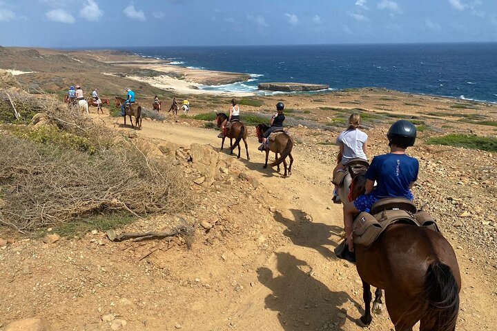 Horseback Ride Tour to Natural Pool in Arikok National Park