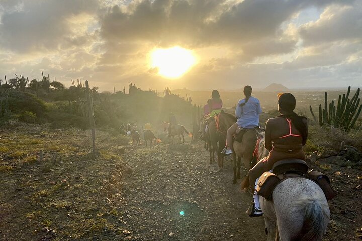 Horseback Ride Tour to Natural Pool in Arikok National Park