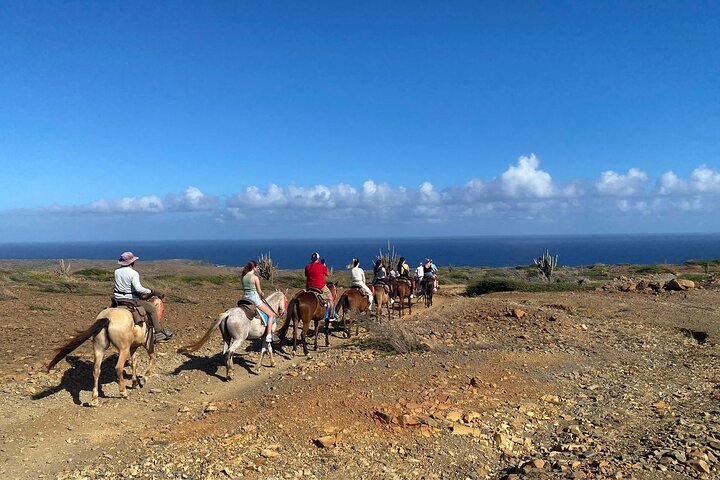 Horseback Ride Tour to Natural Pool in Arikok National Park
