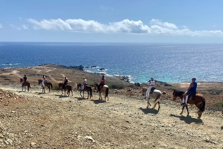 Horseback Ride Tour to Natural Pool in Arikok National Park