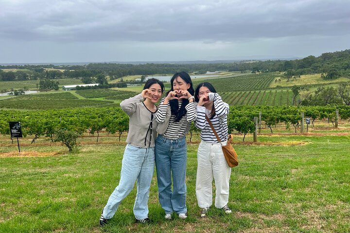 Newcastle: Boutique Hunter Valley Wine Tour