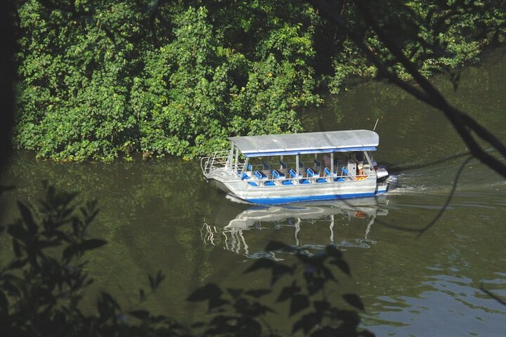 Mossman Gorge Daintree Experience Small Groups