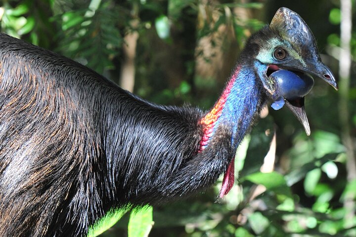 Mossman Gorge Daintree Experience Small Groups