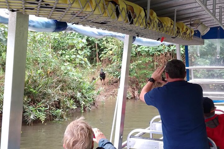 Mossman Gorge Daintree Experience Small Groups