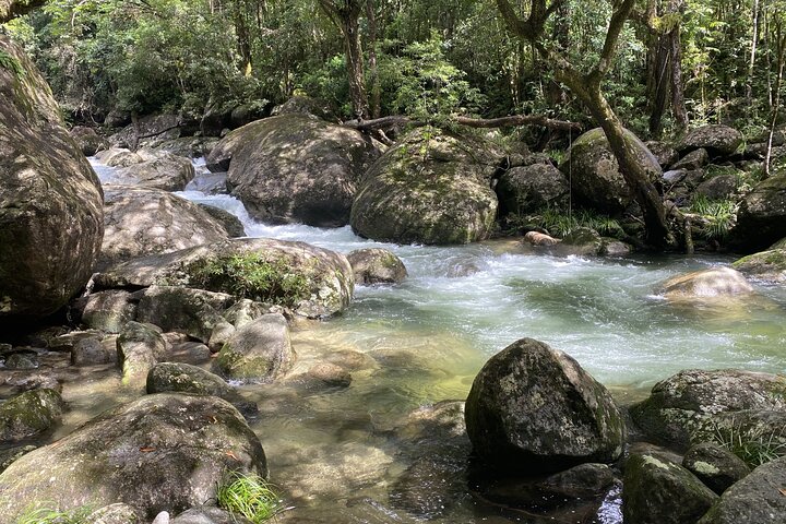 Mossman Gorge Daintree Experience Small Groups