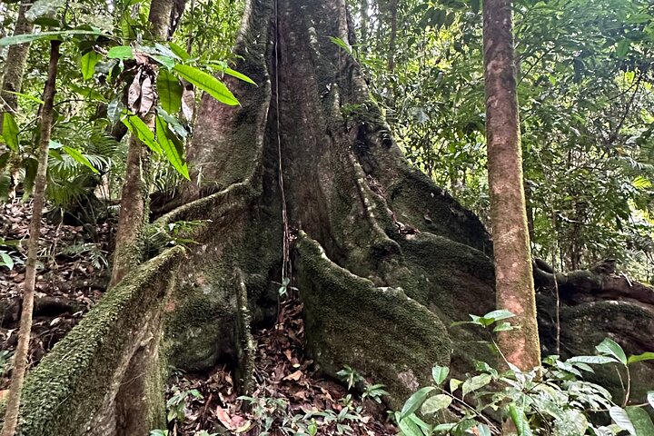 Mossman Gorge Daintree Experience Small Groups