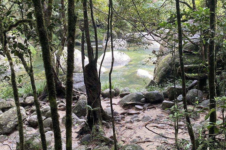Mossman Gorge Daintree Experience Small Groups