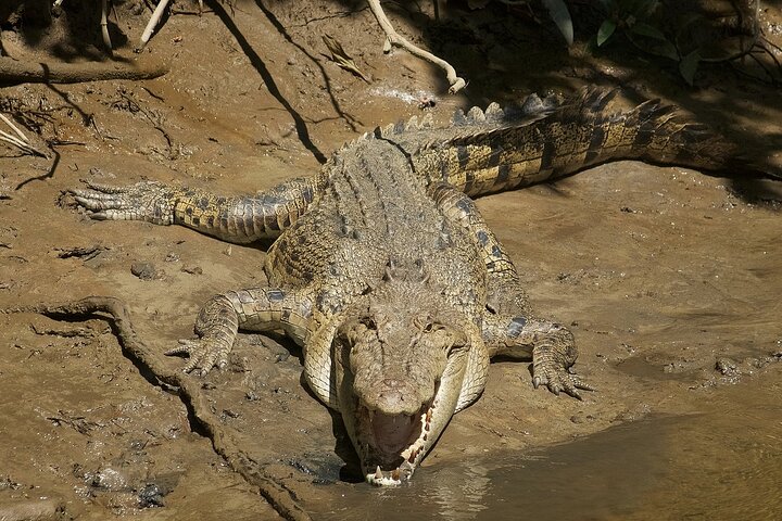 Mossman Gorge Daintree Experience Small Groups
