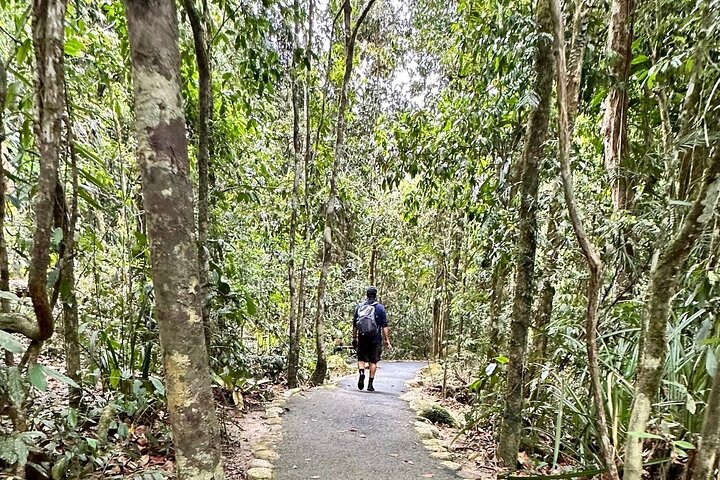 Mossman Gorge Daintree Experience Small Groups