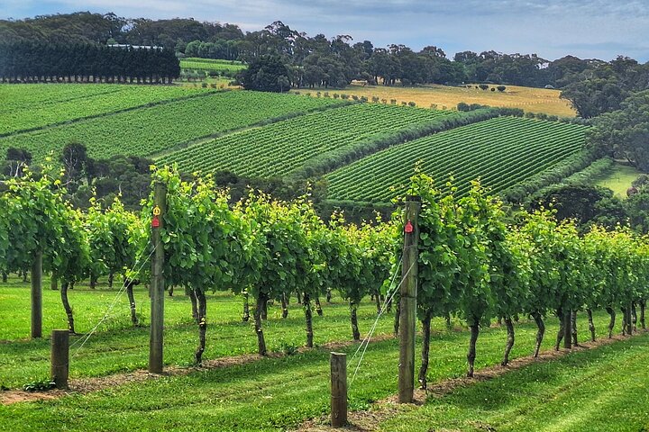 Mornington Peninsula Day Tour. Your Day Your Way. Your group only