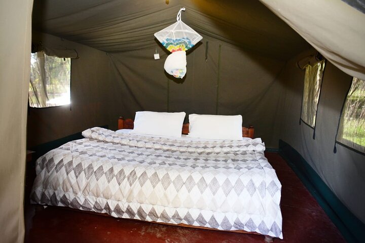 3 days group joining safari to Maasai Mara with a Land Cruiser Jeep