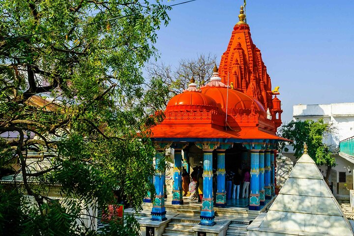 Pushkar City Tour With Camel Safari Lunch and Guide