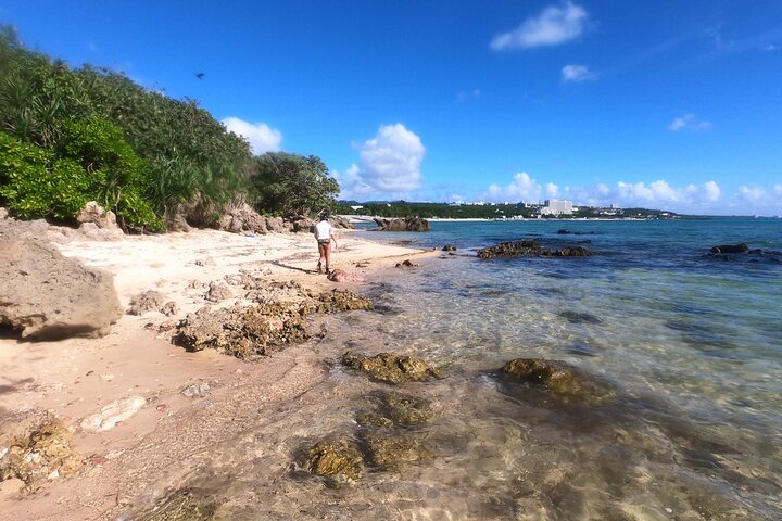 Okinawa: Private Snorkeling Experience with Native English Guide