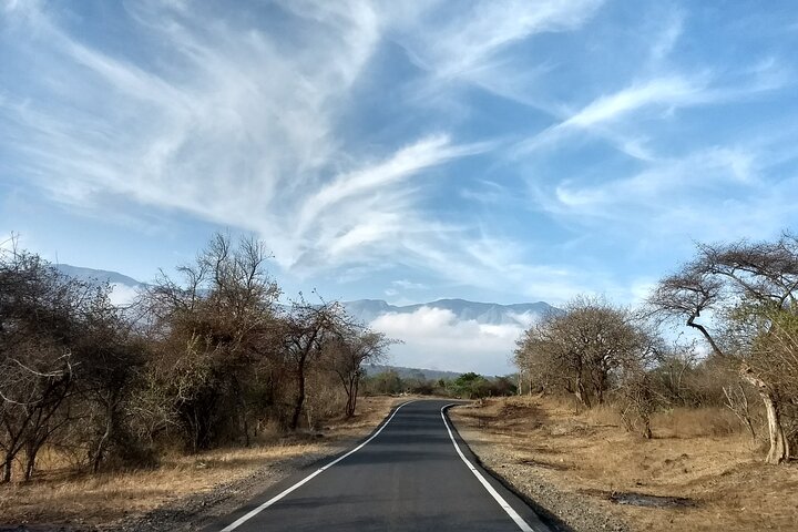 2 Day Bandipur Safari and Mysore Palace Tour