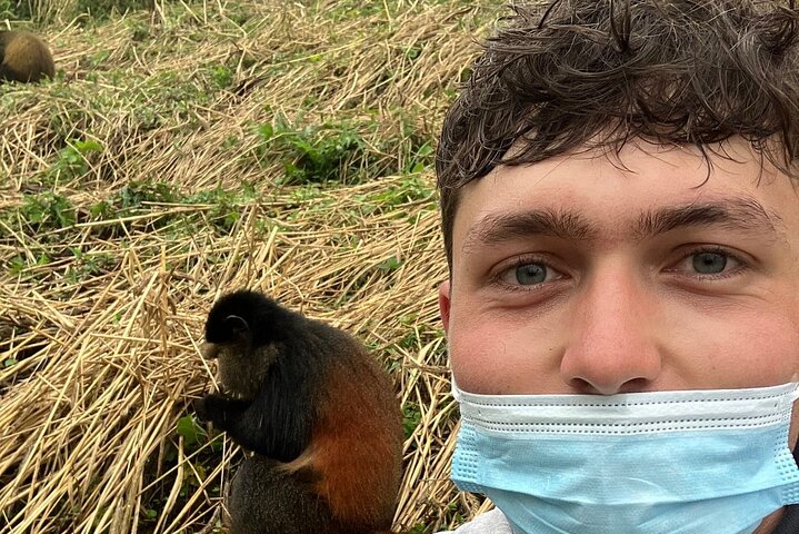Full Day Private Golden Monkey Tour