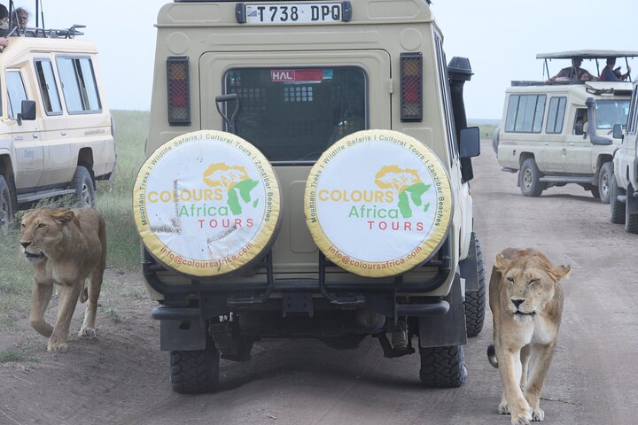 5-Day Luxury Fly-In Serengeti & Ngorongoro Safari from Zanzibar
