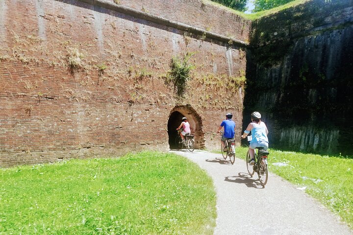 Guided E-Bike Tour with Wine Tasting from Lucca