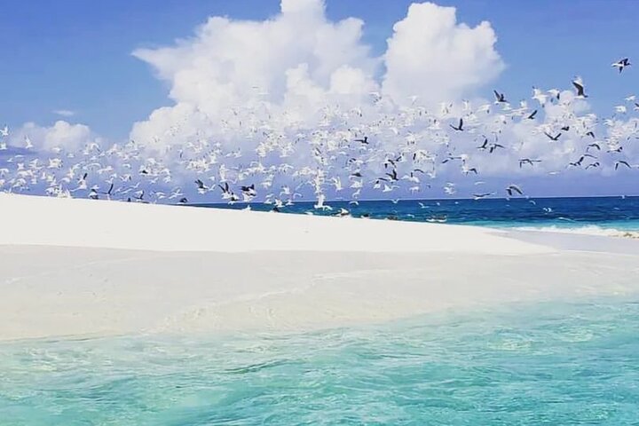 Romantic Nakupenda Bis/Nyange Sandbank Trip
