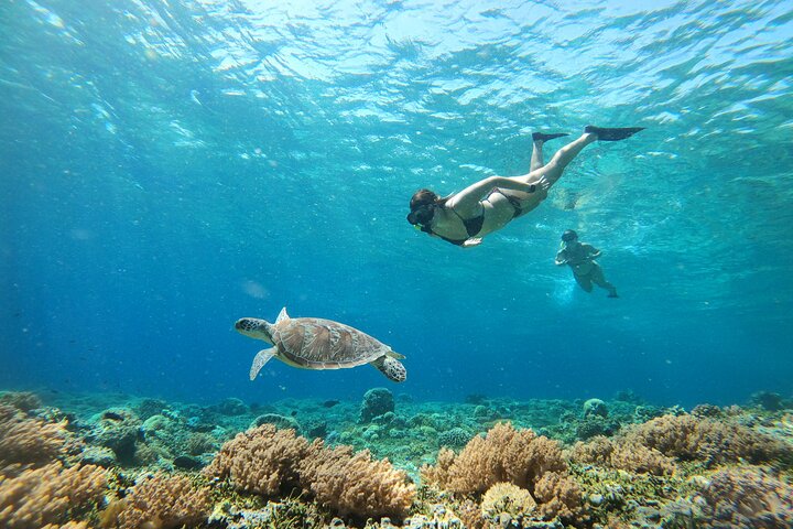 Exclusive Day Trip to Gili Trawangan, Meno & Air: Depart Lombok