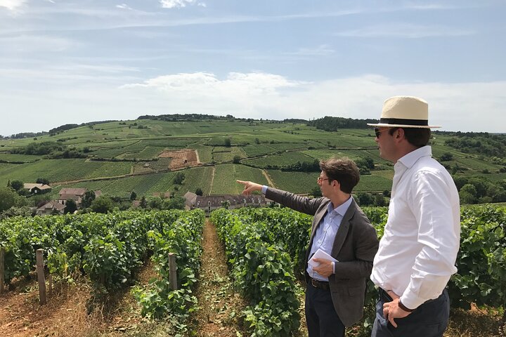 From Beaune: Full day the most of Burgundy, with lunch