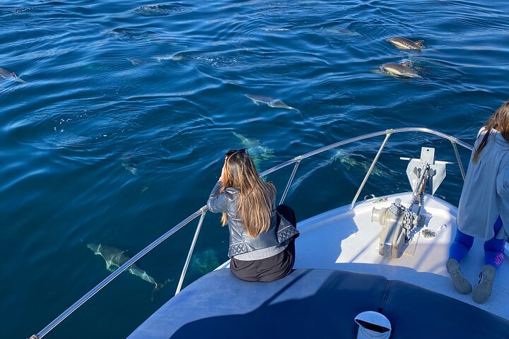Boat Tour with Snorkeling, Slide, Lunch and Pick Up