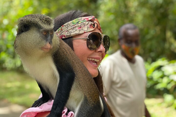 Explorer's Choice: Grenada Private Half Day Island Tour