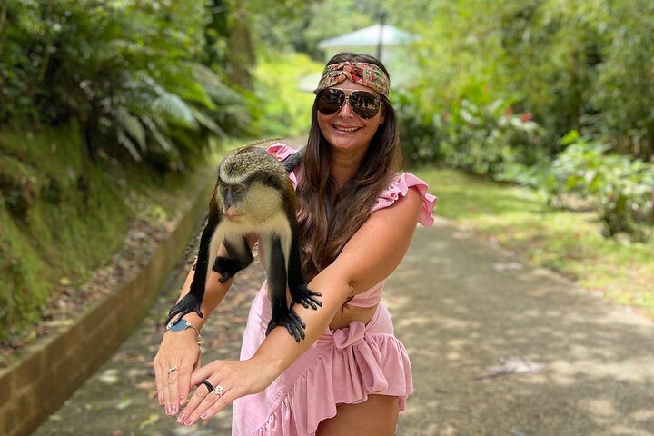 Half day tour: Grenada River tubing and waterfall excursion