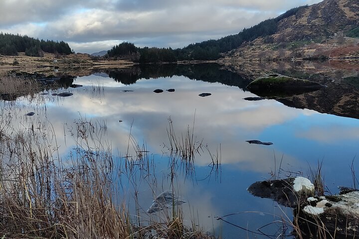 Guided Tour The Ring of Kerry, Skellig Ring and Valencia Island