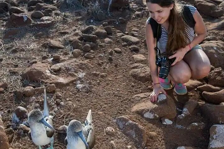 Galapagos - North Seymour Island Wildlife Snorkeling Tour + Lunch