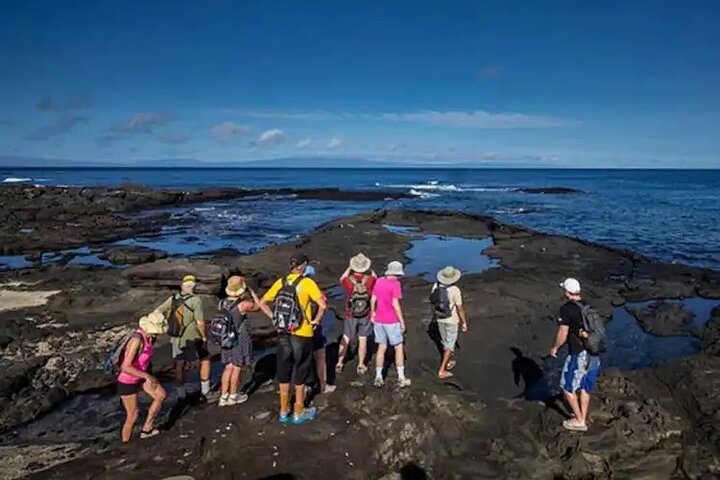 Galapagos - North Seymour Island Wildlife Snorkeling Tour + Lunch