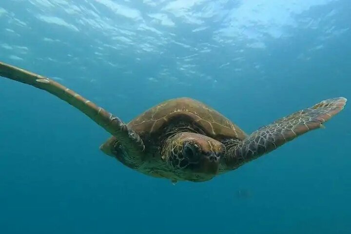 Bartolome Island Tour & Snorkeling from Puerto Ayora, Galápagos