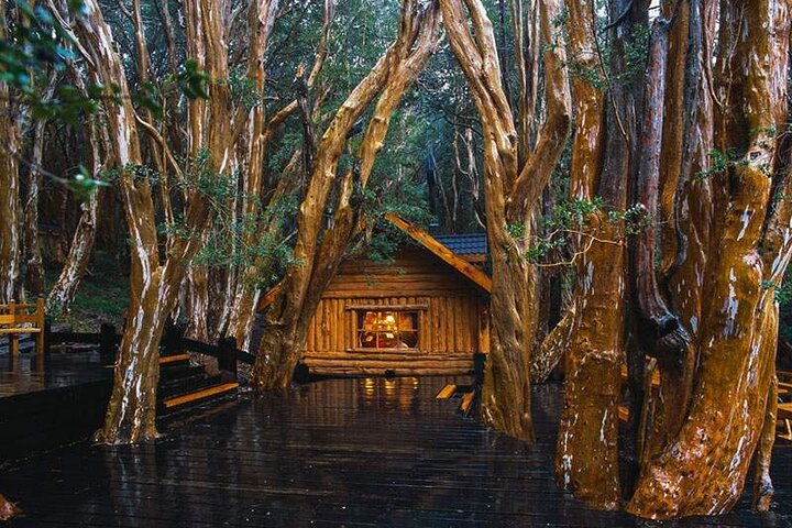 Nahuel Huapi Lake Cruise with Victoria Island and Arrayan Forest Walk