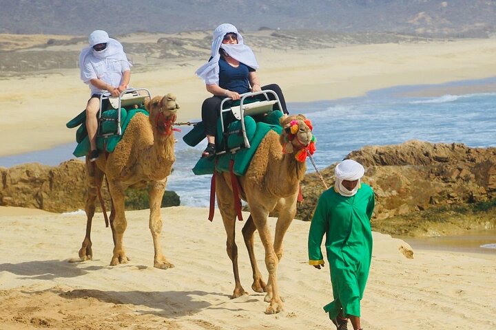 NEW!! Camel Ride and UTV Combo with Tequila Tasting Los Cabos