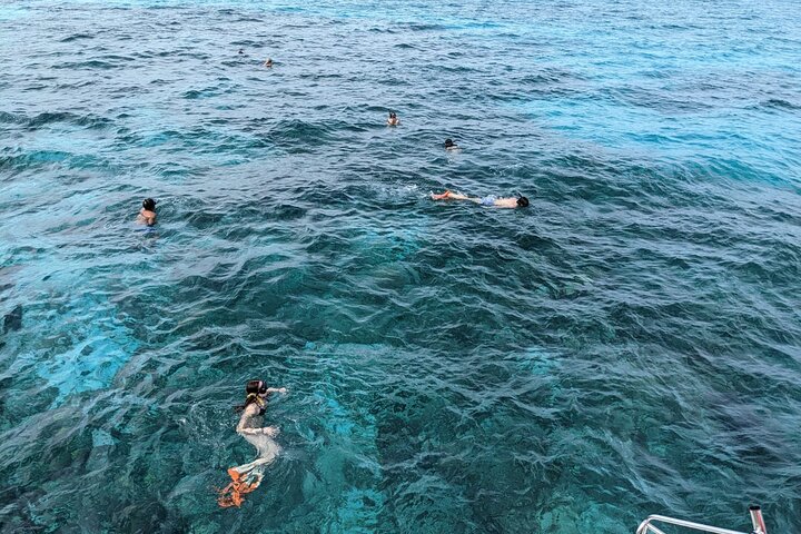 Nassau 3-stops: Snorkeling, Swimming Pigs, Turtles & Lunch