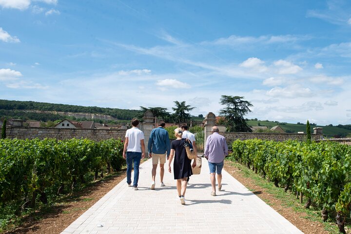 From Beaune: Full day the most of Burgundy, with lunch