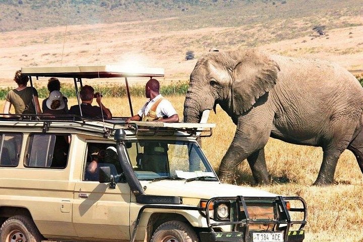 2-Day Private Luxury Safari: Tarangire & Ngorongoro Tanzania