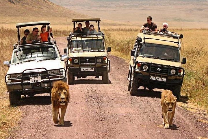 2-Day Private Luxury Safari: Tarangire & Ngorongoro Tanzania