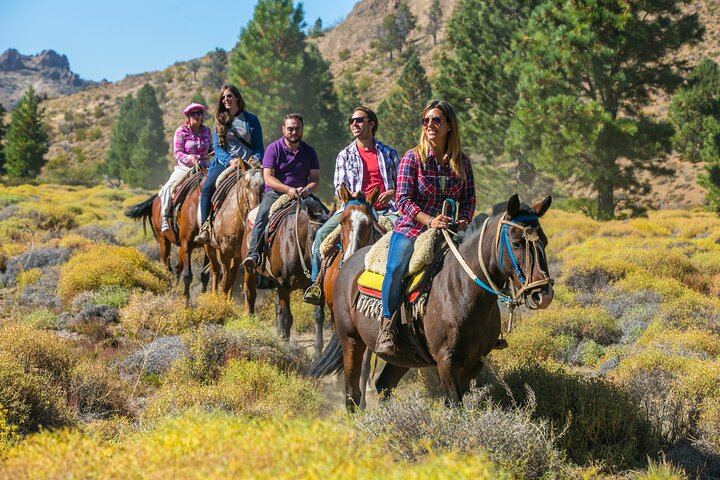 Bariloche Horseback Riding & Traditional Argentine Barbecue Tour