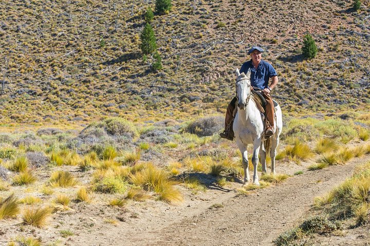 Bariloche Horseback Riding & Traditional Argentine Barbecue Tour