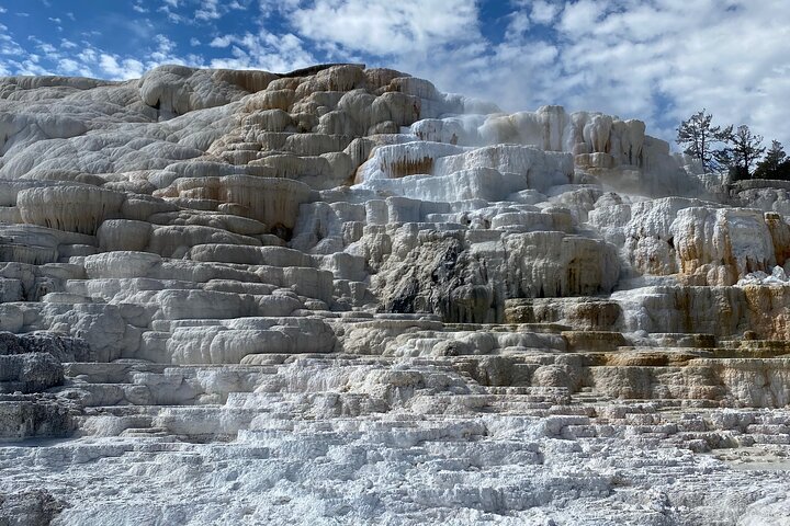 Yellowstone Upper Loop Wildlife Safari | Lamar Valley | PRIVATE