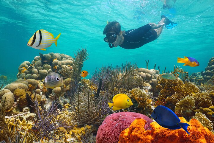 Key West Reef Morning Snorkeling with Breakfast and Mimosas
