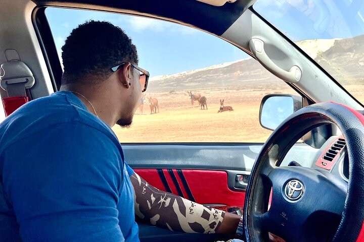 4WD Boa Vista group day tour south and north with sandboarding